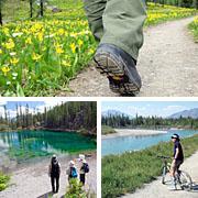 Bed & Breakfast Monarch Canmore Bagian luar foto
